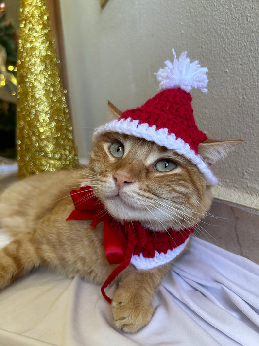 Christmas hat 🎄